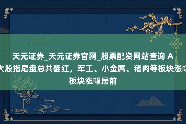 天元证券_天元证券官网_股票配资网站查询 A股三大股指尾盘总共翻红，军工、小金属、猪肉等板块涨幅居前