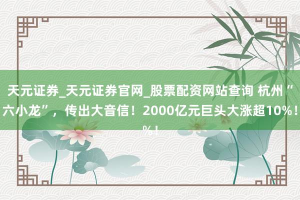 天元证券_天元证券官网_股票配资网站查询 杭州“六小龙”，传出大音信！2000亿元巨头大涨超10%！